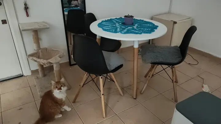 Foto de comprador de Comedor Moderno Redondo Eames para Departamento 4