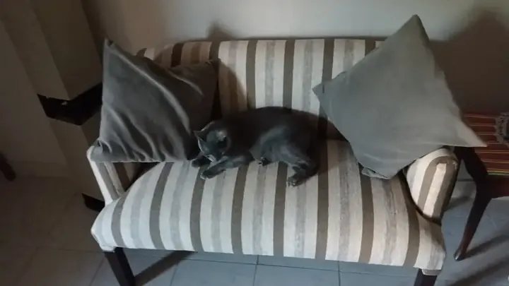 Foto de comprador de Sillon de 2 Cuerpos con Apoyabrazos de Madera para Living 5