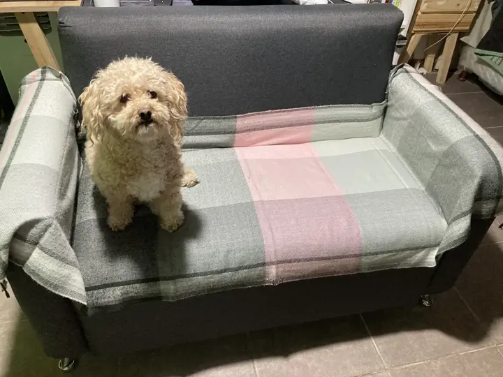 Foto de comprador de Sillon Moderno de 2 Cuerpos Tapizado en Lino 2