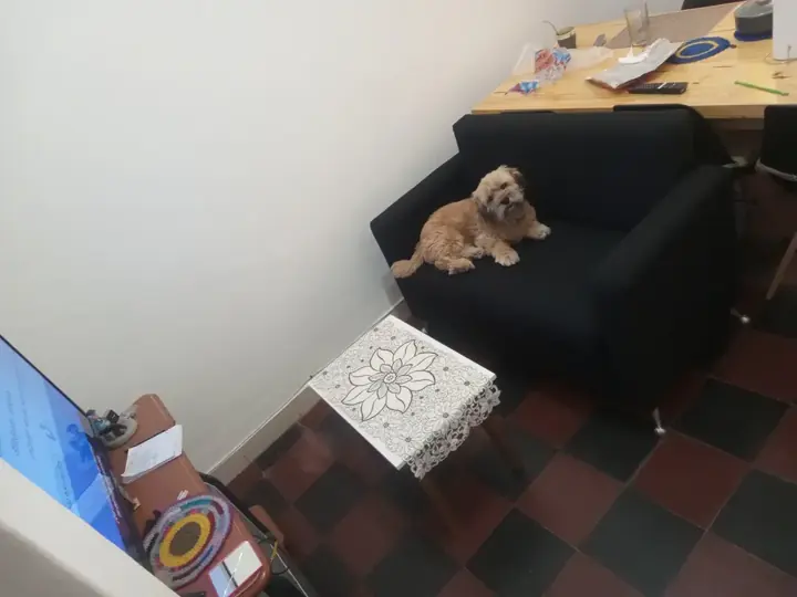 Foto de comprador de Sillon de 2 Cuerpos Rustico Tapizado en Chenille 4