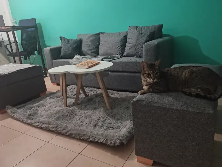 Foto de comprador de Sillon de 3 Cuerpos con Camastro y 2 Puff en Chenille 5