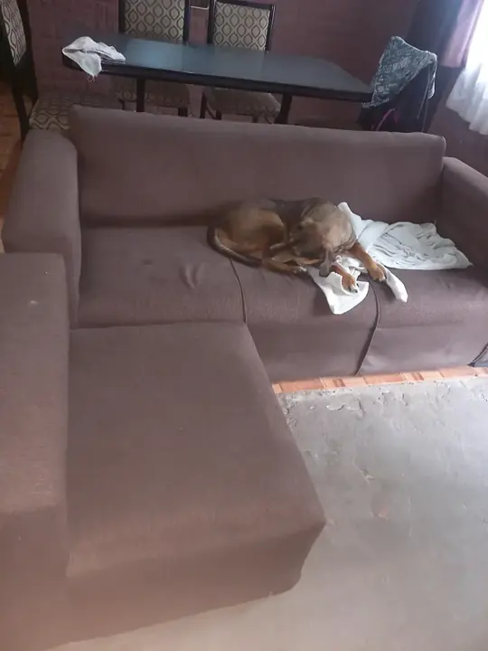 Foto de comprador de Sofa Esquinero de 3 Cuerpos Chenille Antidesgarro 5