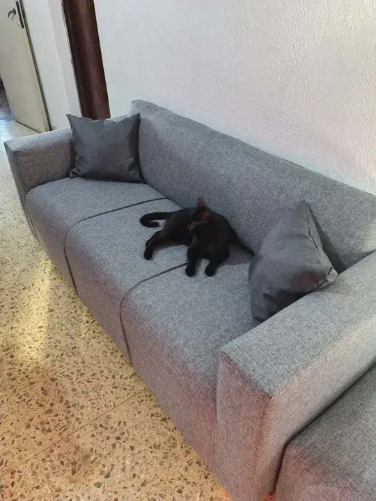 Foto de comprador de Sillon Esquinero de 3 Cuerpos en Chenille Antidesgarro 2