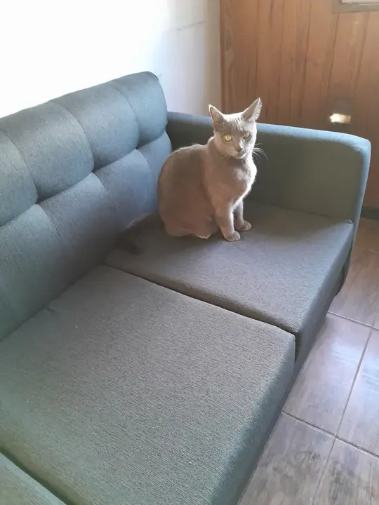 Foto de comprador de Sillon Nordico de 3 Cuerpos 180 cm 1