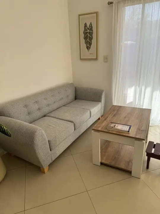 Foto de comprador de Sillon Oval de 3 Cuerpos en Chenille Antidesgarro 1
