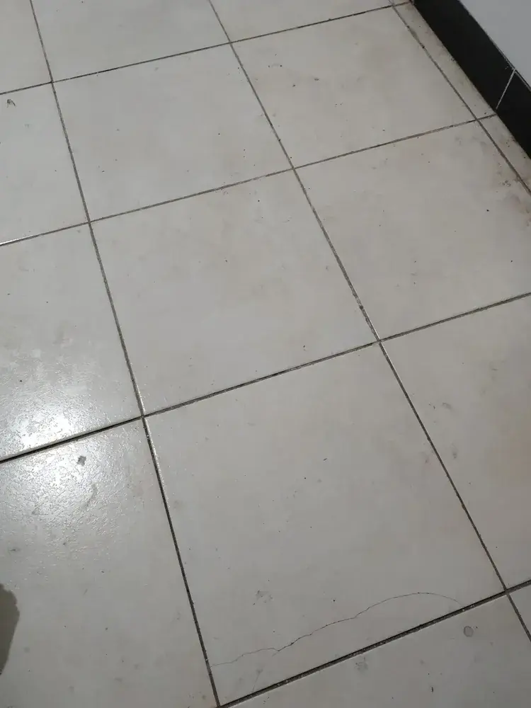 OH16 x6 pino macizo — sillas en contexto de comedor sobre mesa de madera